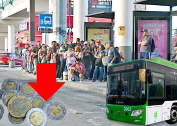 transporte en nuevo león