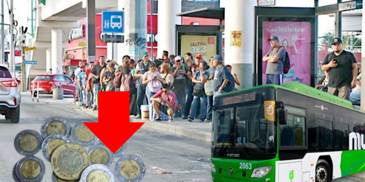 Transporte En Nuevo León - Tu Vecino Informa