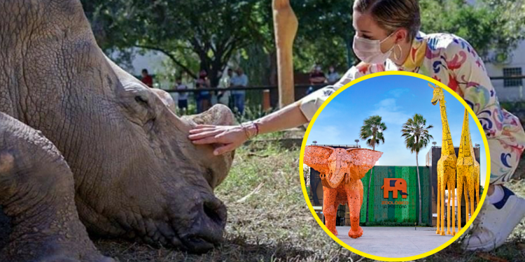 Animales En La Pastora - Tu Vecino Informa