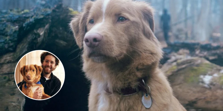 Perro Indy - Tu Vecino Informa