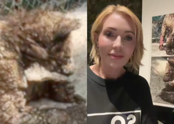 Recuperación De Osa Mina - Tu Vecino Informa