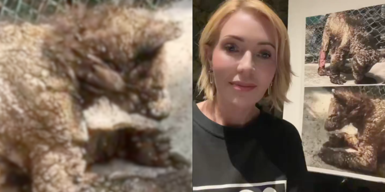 Recuperación De Osa Mina - Tu Vecino Informa