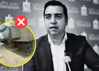 Centro De Bienestar Animal - Tu Vecino Informa Centro De Bienestar Animal - Tu Vecino Informa