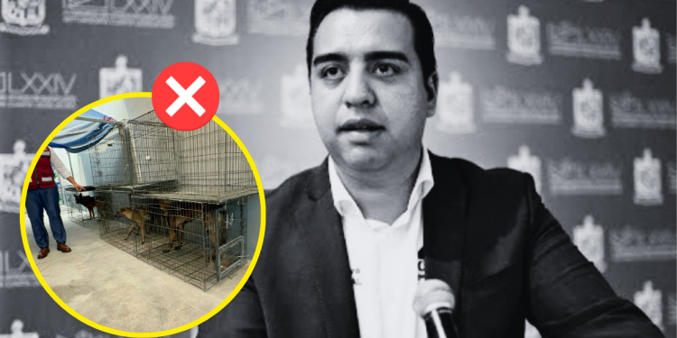 Centro De Bienestar Animal - Tu Vecino Informa