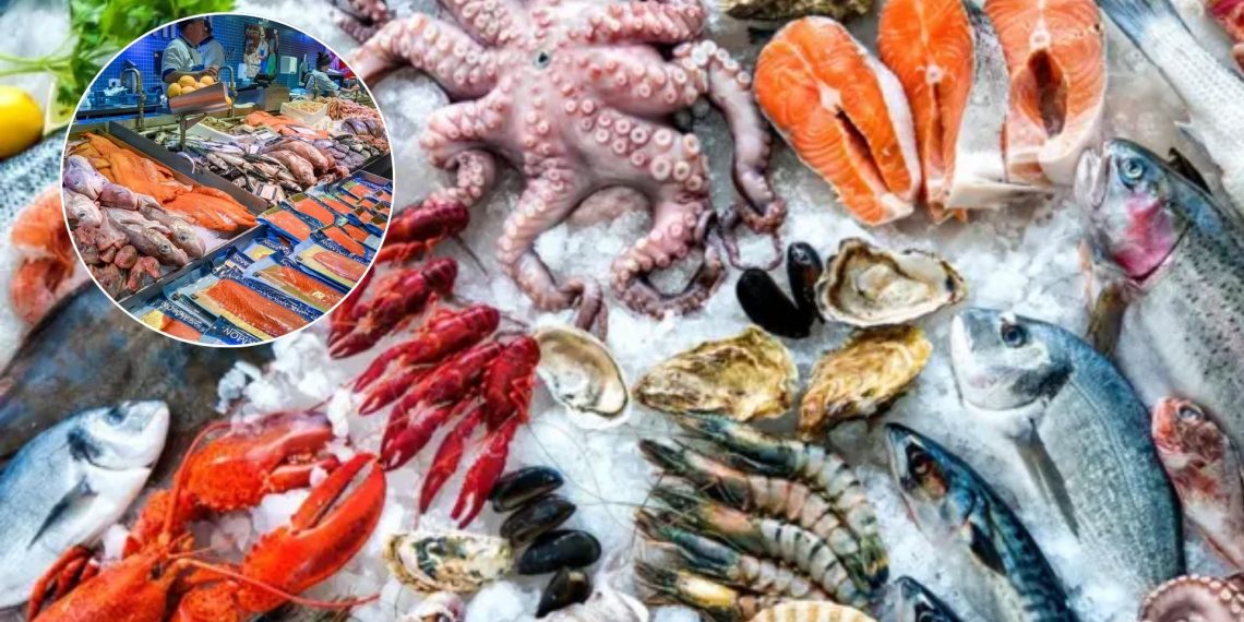 Pescado En México - Tu Vecino Informa