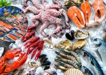 Pescado En México - Tu Vecino Informa