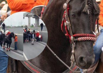 Samuel García Causa Polémica Por Caballos Exhaustos - Tu Vecino Informa