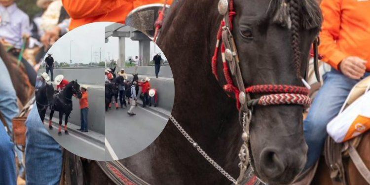 Samuel García Causa Polémica Por Caballos Exhaustos - Tu Vecino Informa