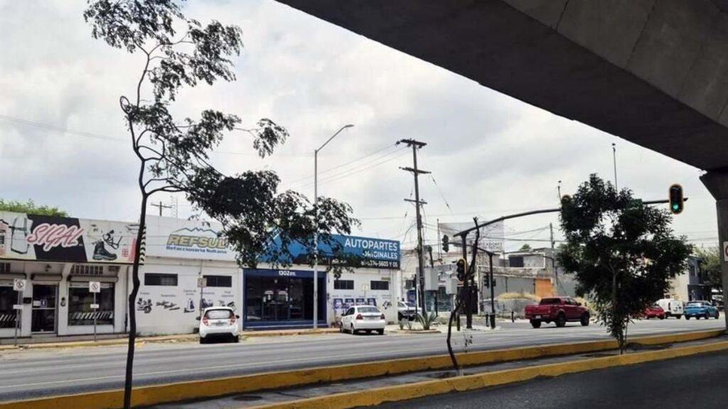 Errores-en-la-plantacion-de-arboles-en-nuevo-leon - Tu Vecino Informa Errores En La Plantación De árboles En Nuevo León - Tu Vecino Informa