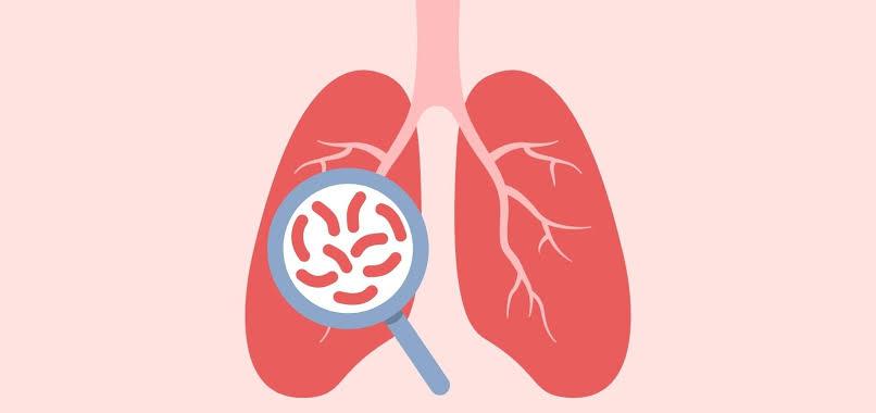 Tuberculosis-nl-afeccion-respiratoria - Tu Vecino Informa Medical Illustration of Lungs with a Magnifying Glass over the Left Lung, Showing Magnified Cells or Pathogens Inside the Lens. - Tu Vecino Informa