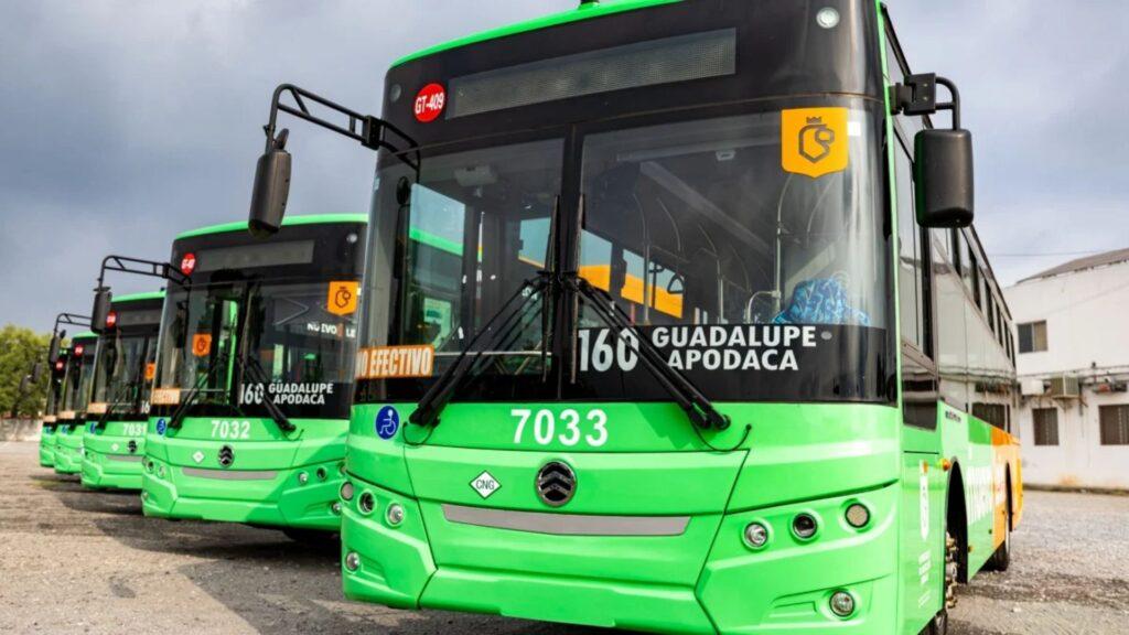 Green City Buses Lined Up, Front Bus Number 7033 Displaying Route Guadalupe Apodaca in Bold Text on the Windshield - Tu Vecino Informa