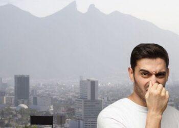 Vecinos Sufren Pestilencia Urbana - Tu Vecino Informa