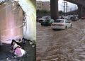 La Línea 4 Y El Puente La Virgen - Tu Vecino Informa